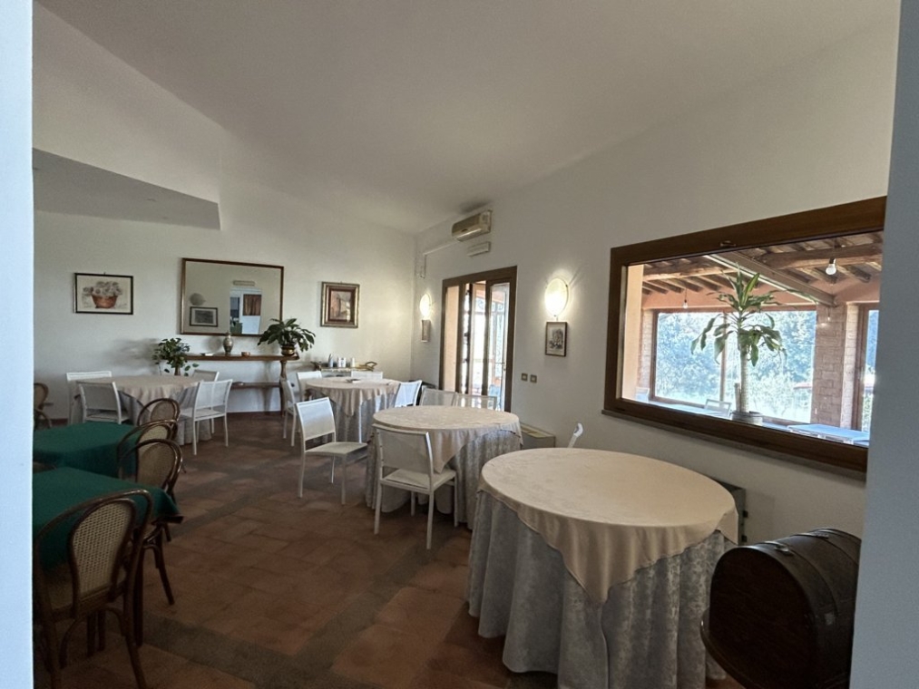 IMG_3923 (FILEminimizer).jpeg